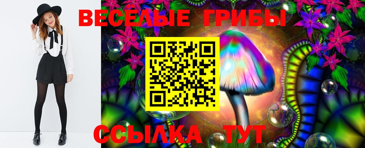 Галлюциногенные грибы Cubensis  Вход с VPN  Алатырь 